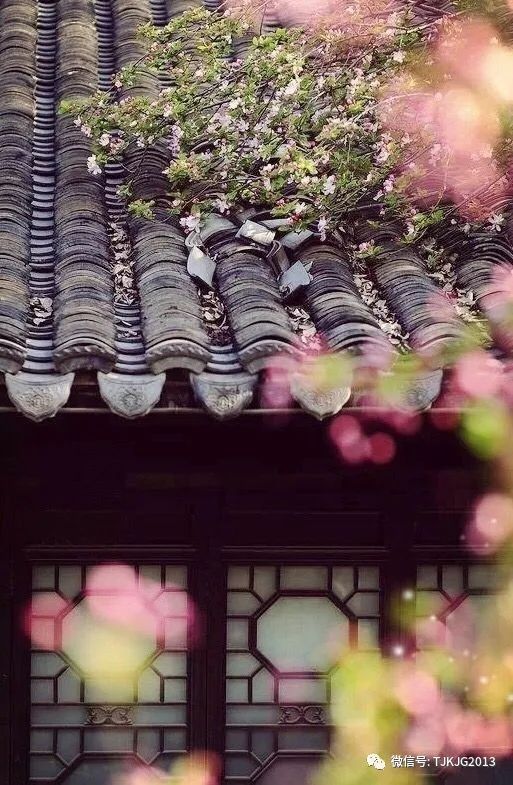 活动预告：天津科技馆天文讲堂2019年第四期《夜空中最值得欣赏的星星》