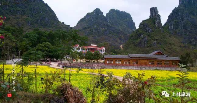 上林旅游打卡地,上林游玩景点推荐