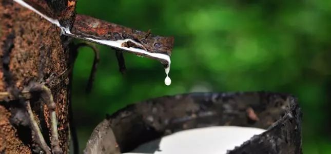 买一送一乳胶枕成人护颈枕,买一送一正品泰国天然乳胶枕