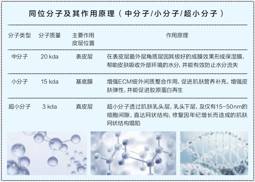 vishya玻尿酸德国价格,德国balea玻尿酸原液使用方法