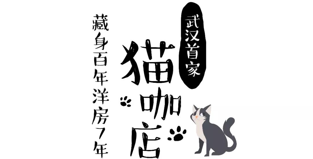 5家猫咖店200只猫，这对夫妻治愈无数武汉人