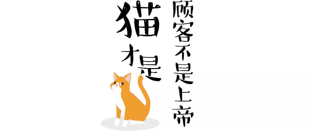 5家猫咖店200只猫，这对夫妻治愈无数武汉人