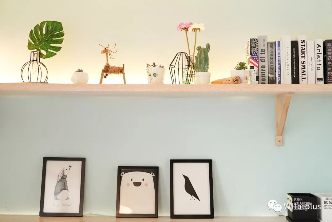 5家猫咖店200只猫，这对夫妻治愈无数武汉人