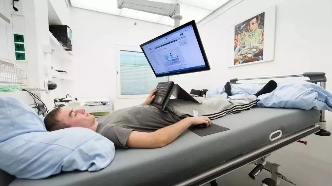 遛狗师真实收入,遛狗师的真实收入