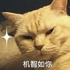 遛狗师真实收入,遛狗师的真实收入