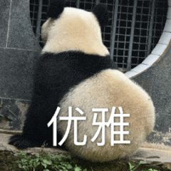 遛狗师真实收入,遛狗师的真实收入