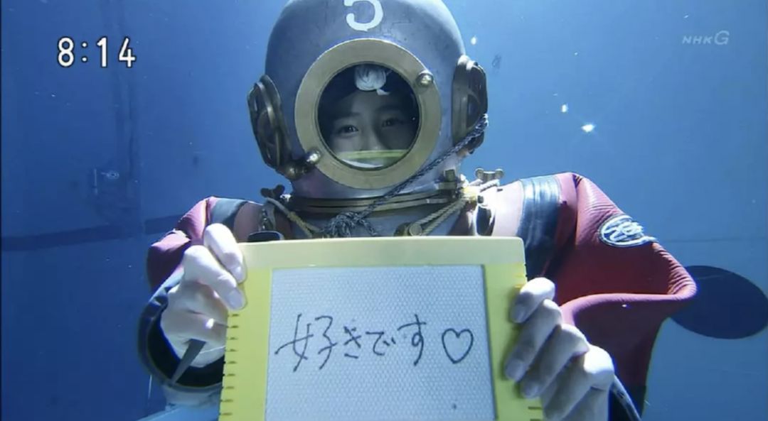 遛狗师真实收入,遛狗师的真实收入