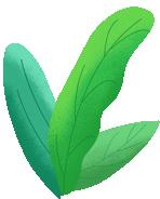 中储粮集团官网2023秋季招聘,中储粮集团官网2023秋季招聘岗位