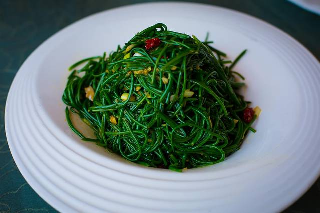 宁夏大西北自驾游攻略,宁夏西北旅游攻略一日游推荐
