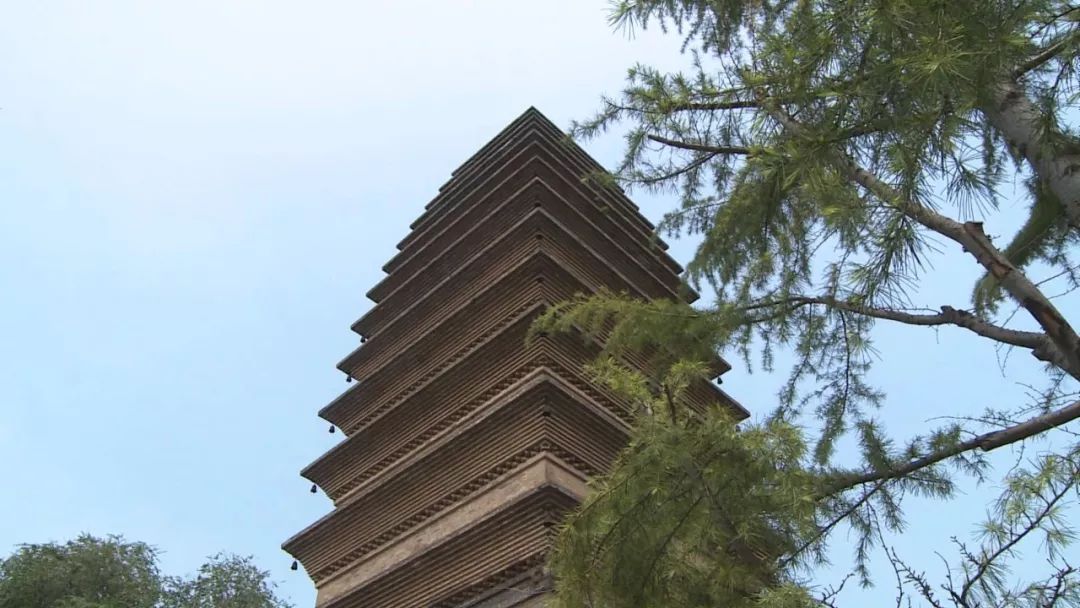 沁阳人文吸引京城学子关注