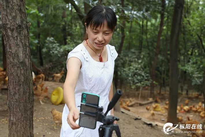 枞阳姑娘“直播养鸡”！一年卖出100万！