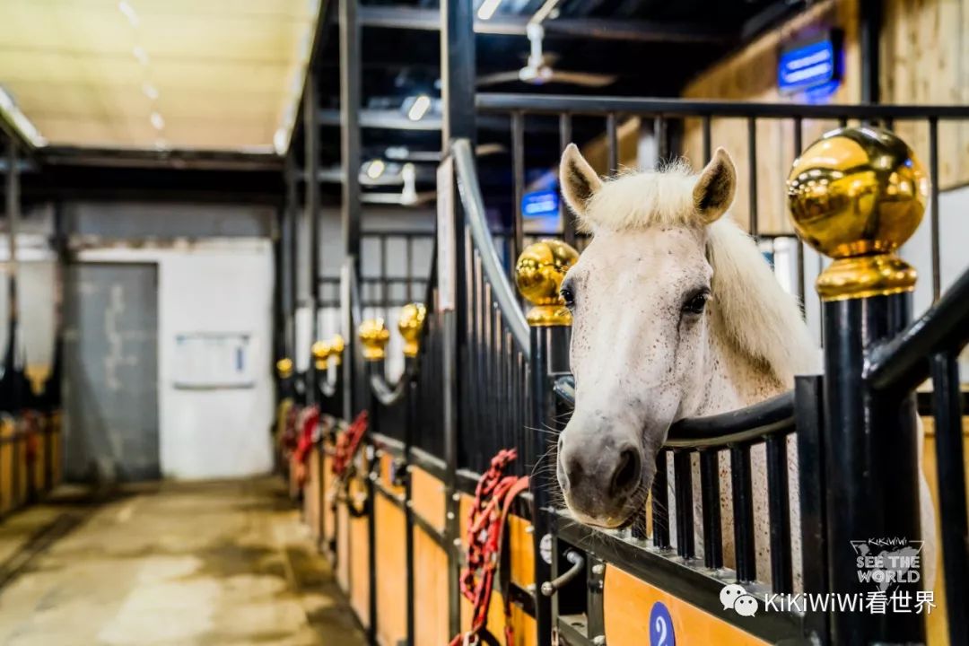 舟山威斯汀打卡攻略,舟山威斯汀和海上丝绸哪家好