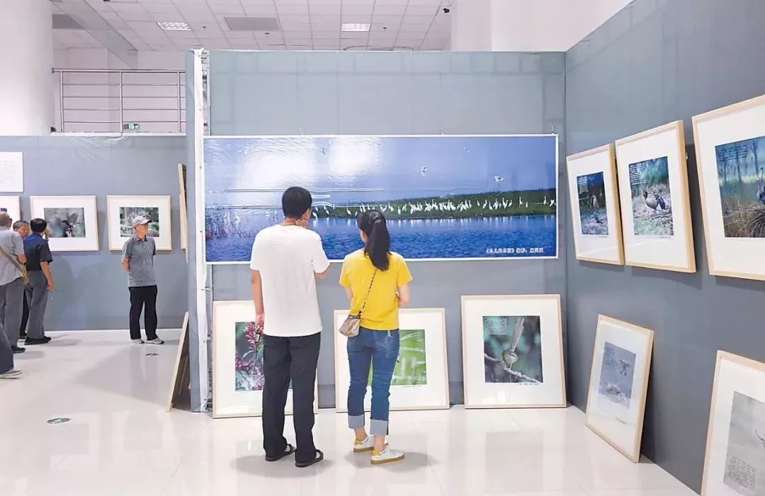 Hello！星期天丨衡水人上周你错过了哪些大事？快来看看吧