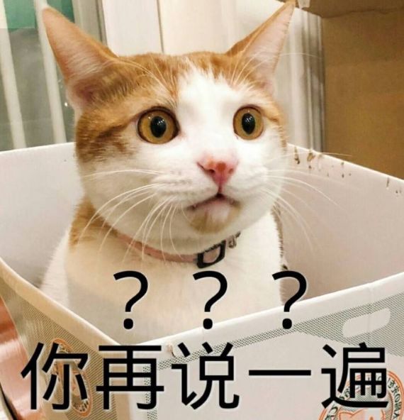 海宁农村户口,海宁市户口新政策