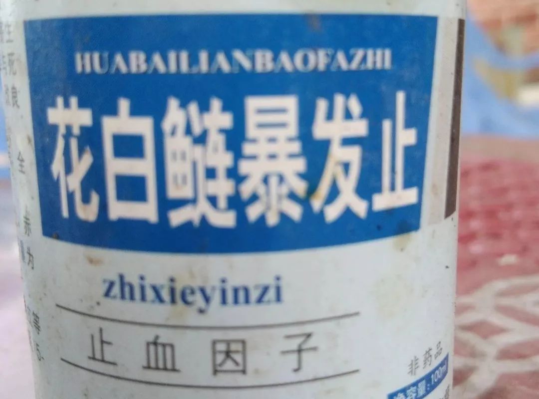 花白鲢鱼败血症怎么防治,花白鲢败血病用什么药