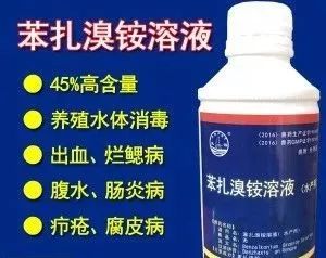 花白鲢鱼败血症怎么防治,花白鲢败血病用什么药