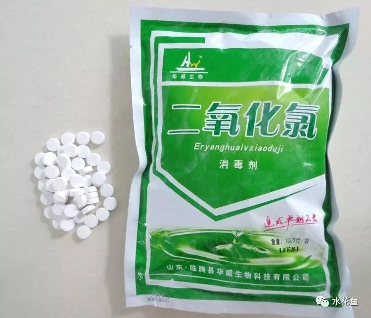 花白鲢鱼败血症怎么防治,花白鲢败血病用什么药