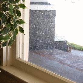 卫生间里放醋的妙用,卫生间放白醋的妙用