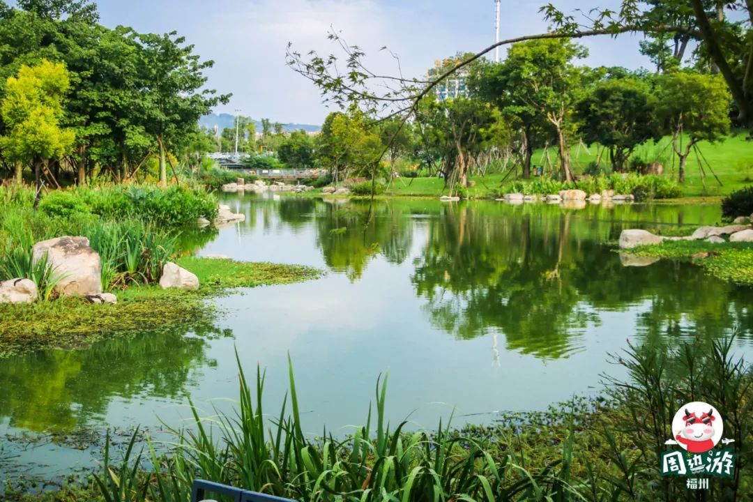 福州周边赏花自驾游,福州十大赏花好去处