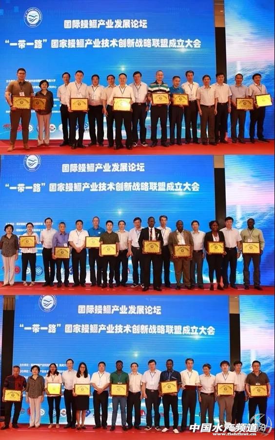 鳗鲡养殖基地,养殖塘鲺鱼一万尾要多少成本