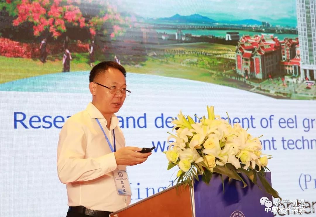 鳗鲡养殖基地,养殖塘鲺鱼一万尾要多少成本