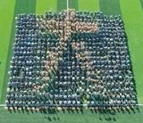 军训攻略让我们一起潇洒的晒黑,军训特辑让我们一起优雅地晒黑