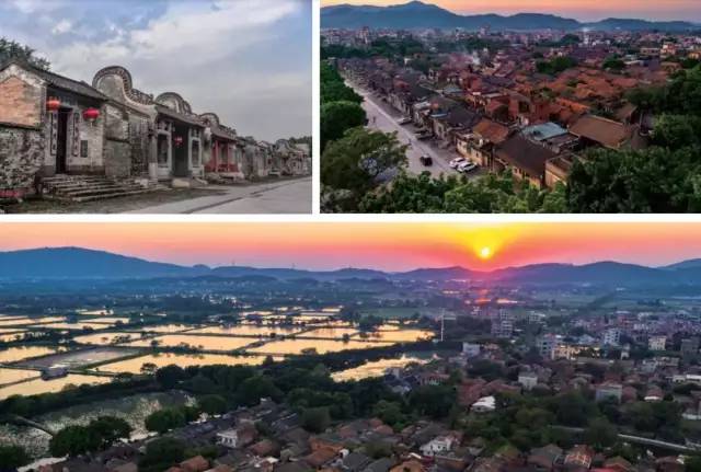 权威发布|这样的花都，太上头了！