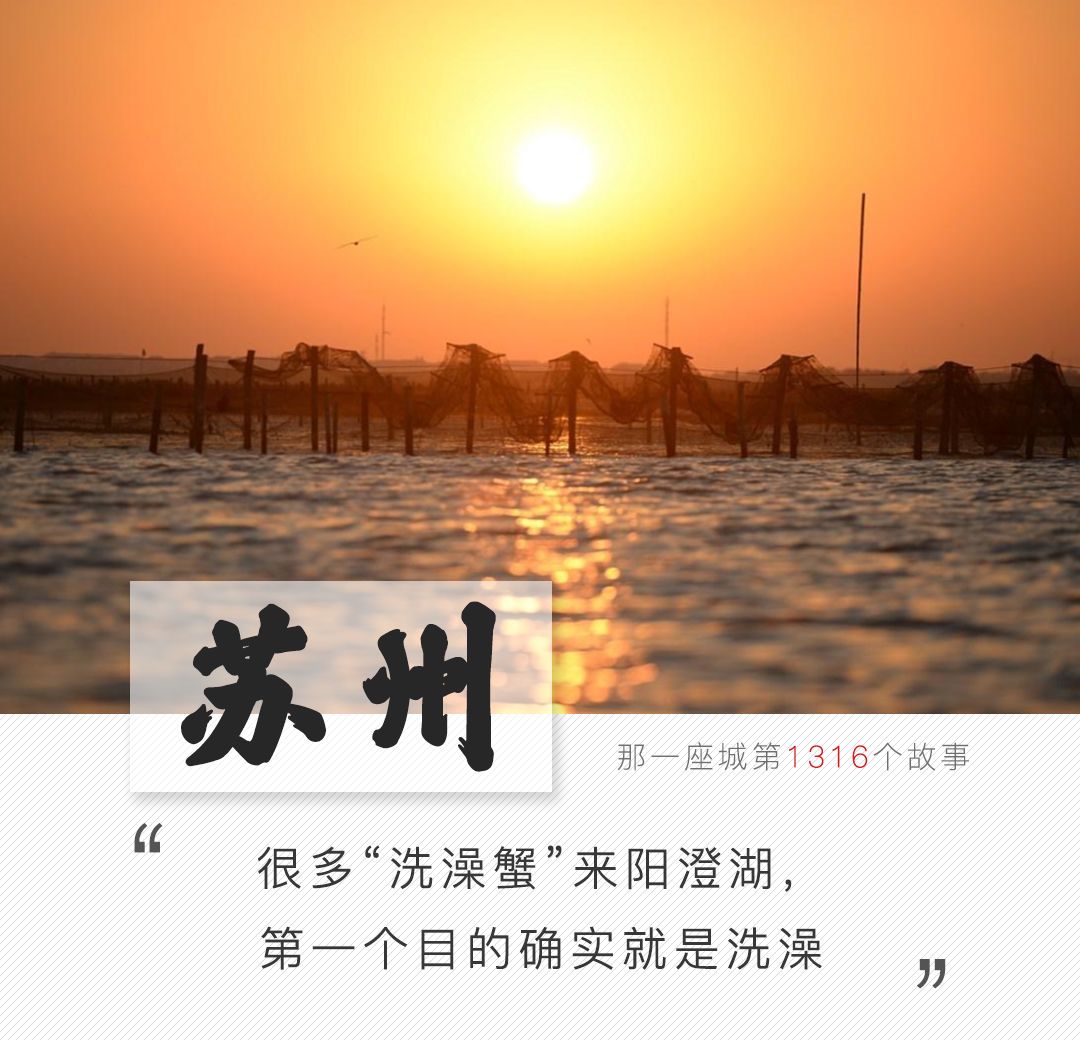 阳澄湖大闸蟹大部分是洗澡蟹吗,阳澄湖大闸蟹洗澡