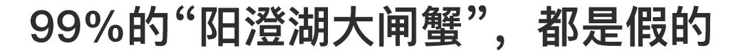 阳澄湖大闸蟹大部分是洗澡蟹吗,阳澄湖大闸蟹洗澡