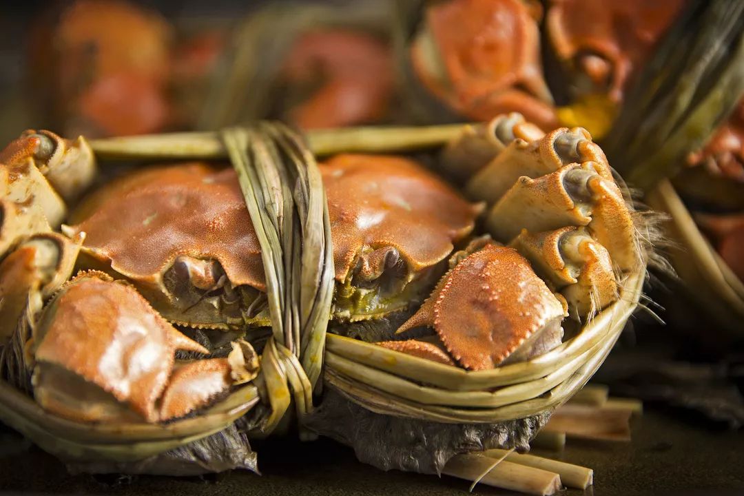 阳澄湖大闸蟹大部分是洗澡蟹吗,阳澄湖大闸蟹洗澡