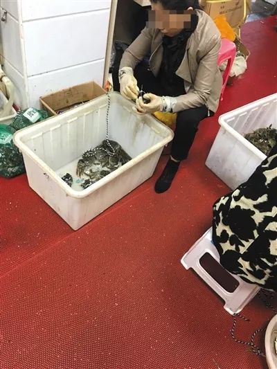 阳澄湖大闸蟹大部分是洗澡蟹吗,阳澄湖大闸蟹洗澡