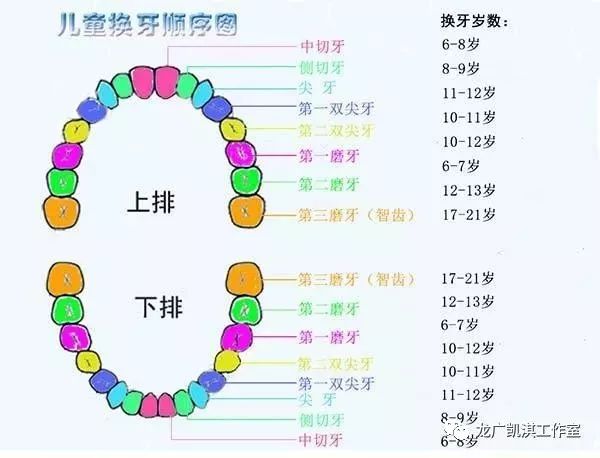 牙医讲解换牙小知识,孩子换牙期家长要注意的4件事