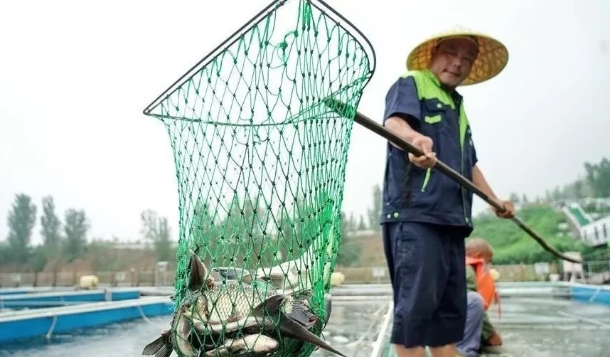 矿坑养鱼行不行,矿坑适合网箱养鱼吗