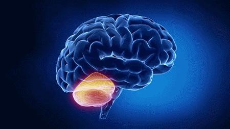 把烟掐了给你面子,烟给我掐了