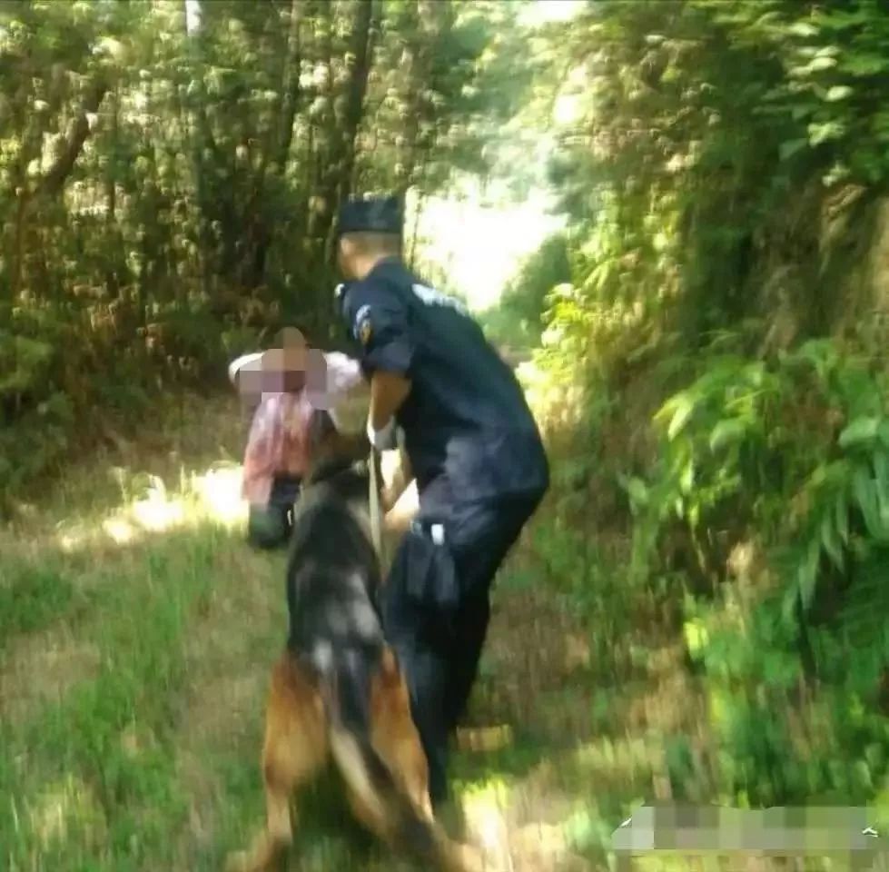 寻找最美基层民警,寻找2011年最美基层民警