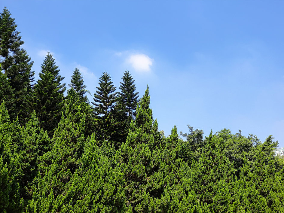 魅族16spro拆解,魅族16spro跑分