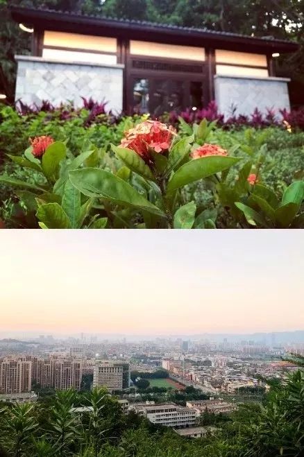 仓山故事|从白昼到黑夜，爱上仓山的24小时...