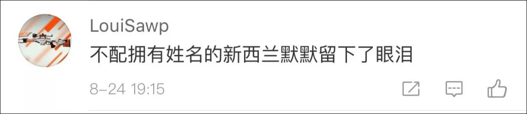 新西兰在地图上有多离谱,新西兰在地图上什么位置呢