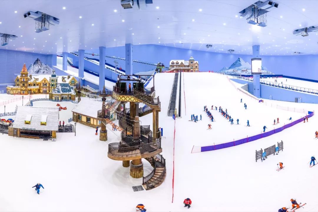 权威发布|这样的花都，太上头了！