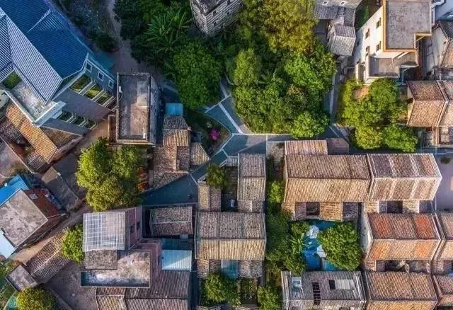 权威发布|这样的花都，太上头了！