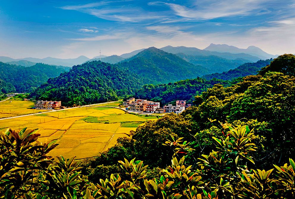 权威发布|这样的花都，太上头了！