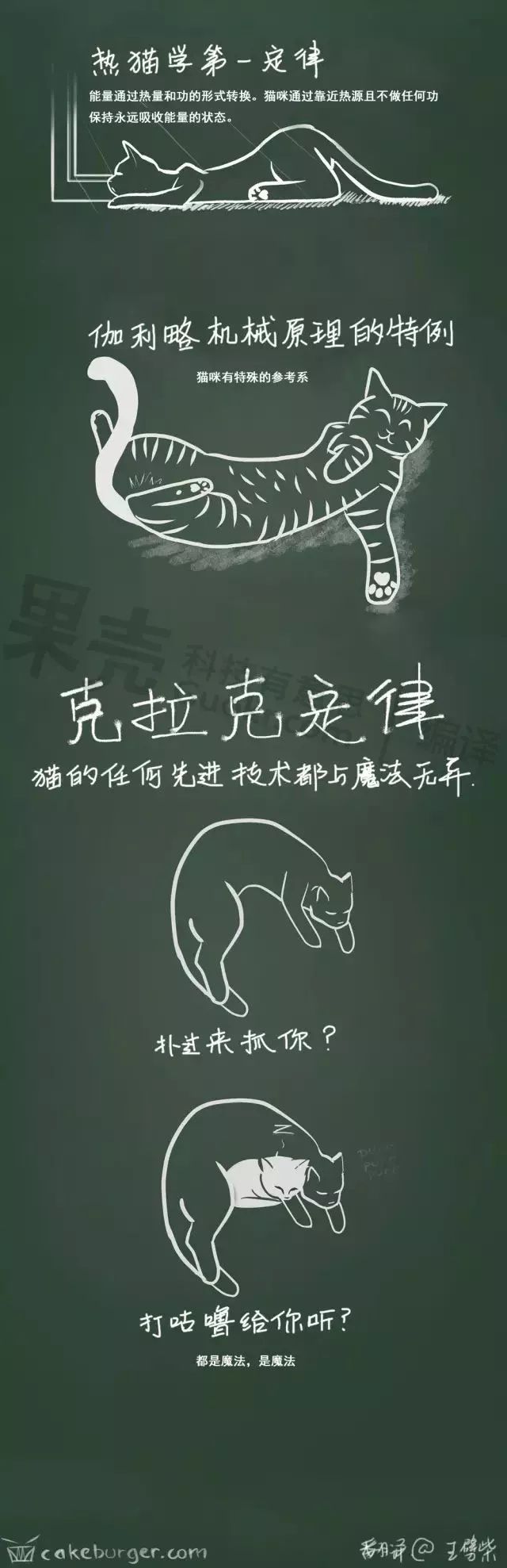 萌翻了！网友亲测猫趴在地上可以有多扁！原来猫的真实形态是液体的…