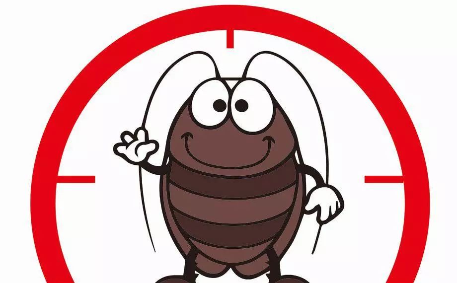 打不死的小强怎么才能消灭它,打不死的小强怎么消灭