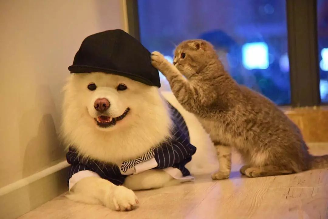 从“安妮宝贝”到“李佳琦”：一文读懂互联网25年，“网红”炼成记和捞金术