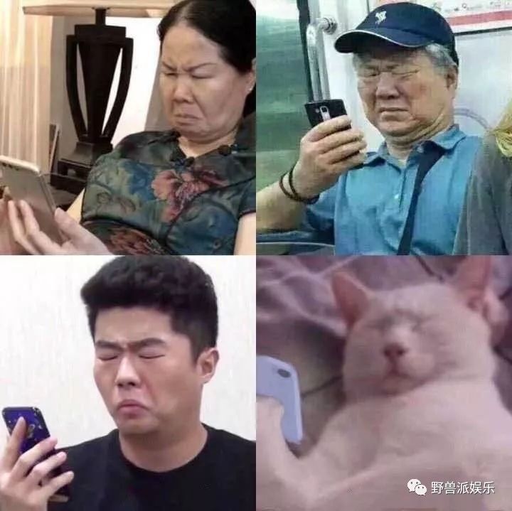 结婚送祝福场面,结婚送祝福结尾视频