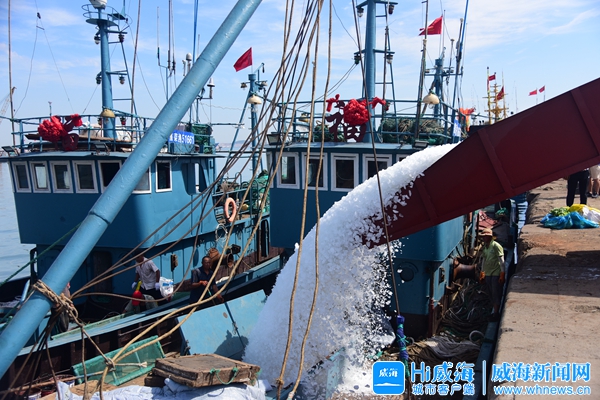 开海了一大波肥美海鲜正在上岸,开海了渔民满载而归
