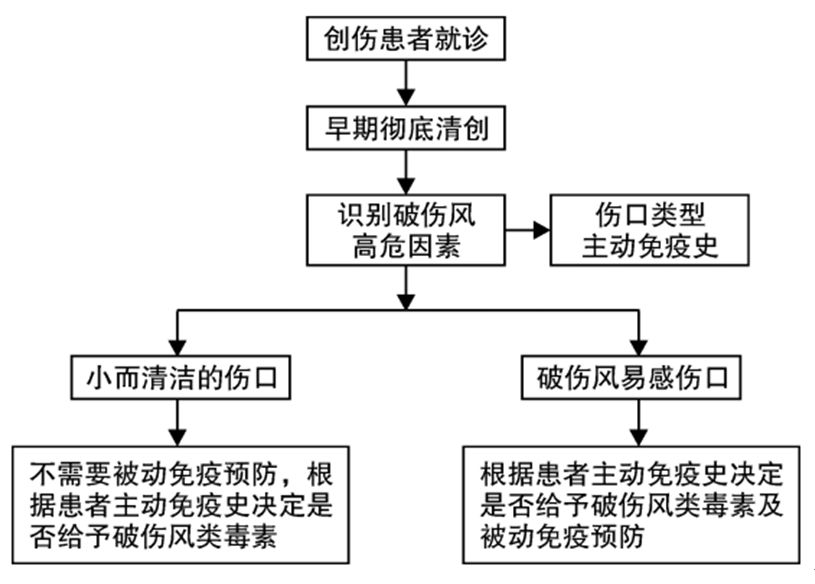 外伤九天伤口愈合会得破伤风吗,小孩外伤到底需不需要打碎伤风