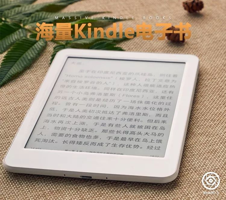 我建了一个羞羞群，价值500万