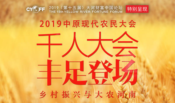 双11电商海选拼多多2019,京东和拼多多双11哪个好