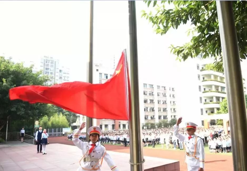 沙坪坝义务教育学校,沙坪坝小学新学校